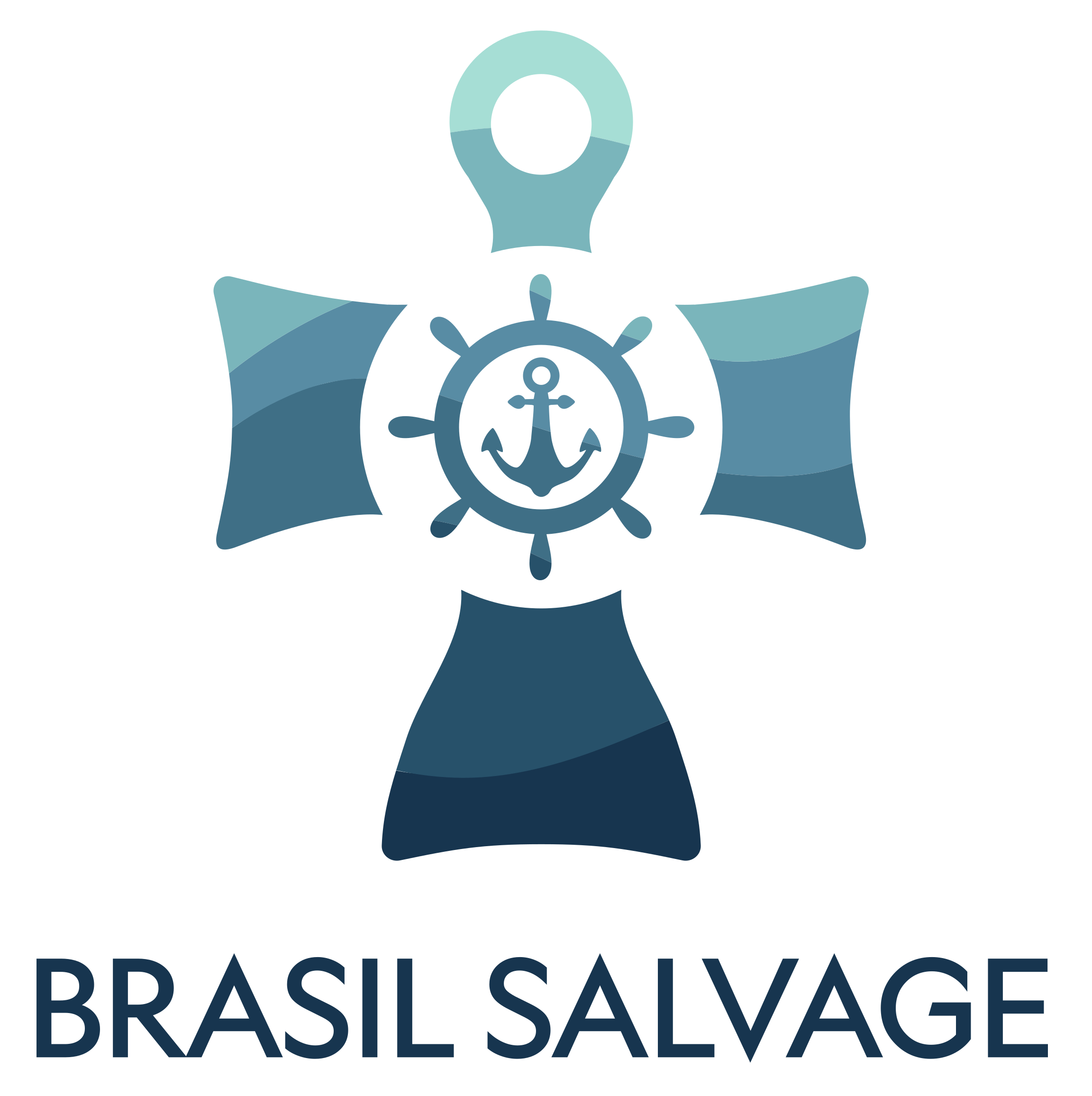 Brasil Salvage Logo
